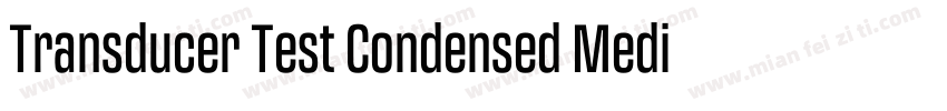 Transducer Test Condensed Medium字体转换